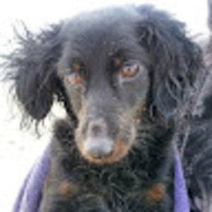 Meet your Posher, Candace